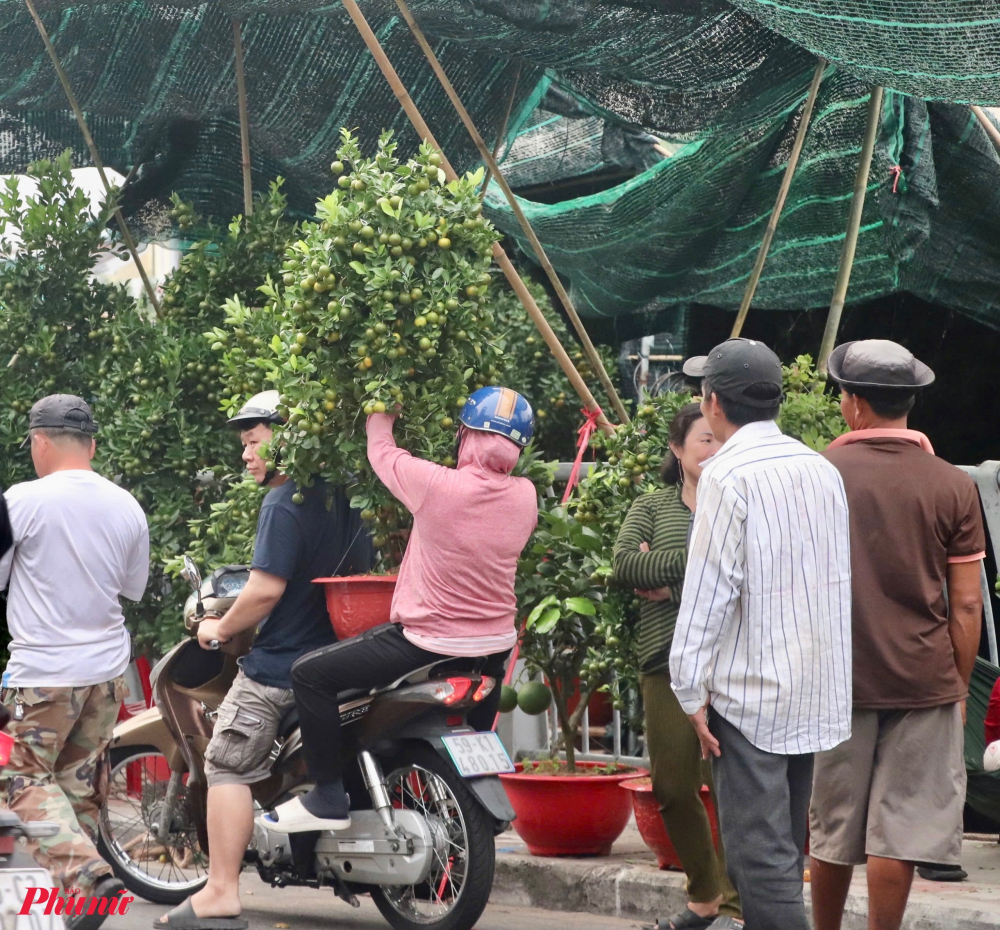 Dù chưa chính thức diễn ra khai mạc, tuy nhiên tuyến đường này đã trở nên đông đúc và nhộn nhịp. Người dân vừa dạo chơi, chụp ảnh, vừa xem hoa, mua hoa và cây cảnh. Đầu đường là những nhà vườn bán quất, cuối đường là những gian hàng bán dưa hấu xanh và vàng to bự, đậm sắc.