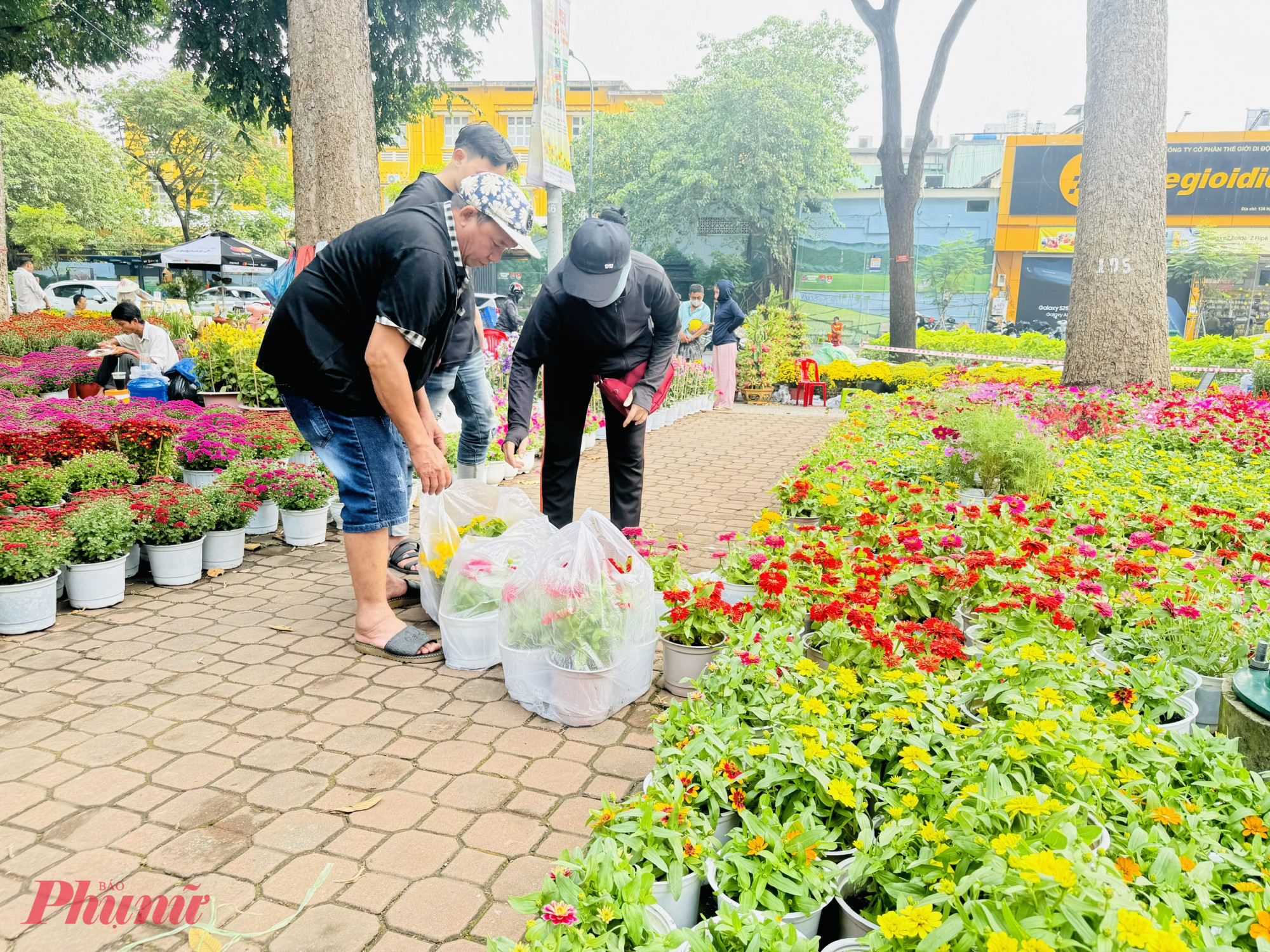 Nếu khách có mua hoa cũng chỉ chọn các loại hoa chậu nhỏ, giá rẻ dao động từ 40.000 - 50.000 đồng/chậu.