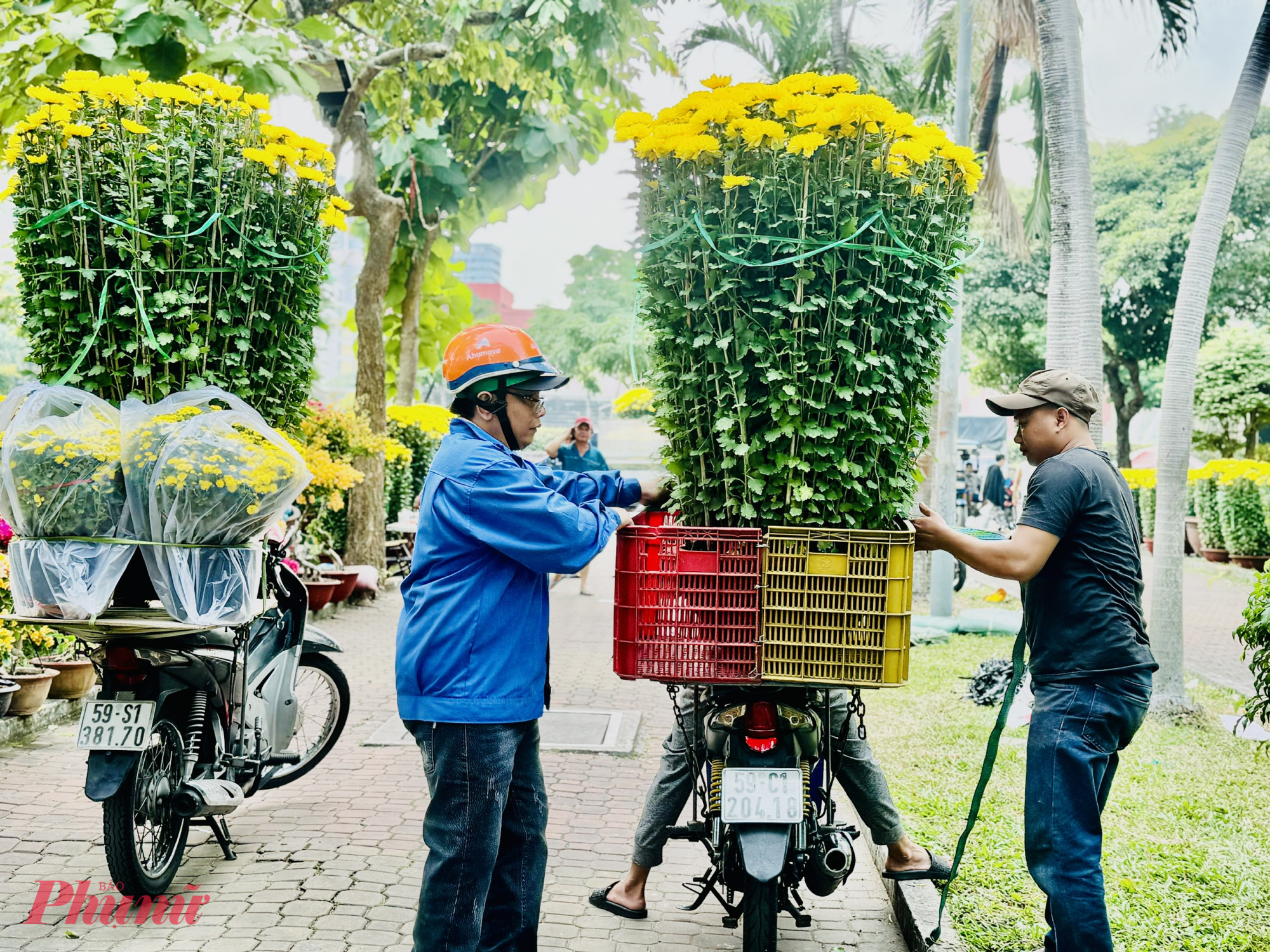 Thỉnh thoảng cũng có khách mua các chậu cúc giá 1 triệu đồng/chậu nhưng lượng khách này khá ít.