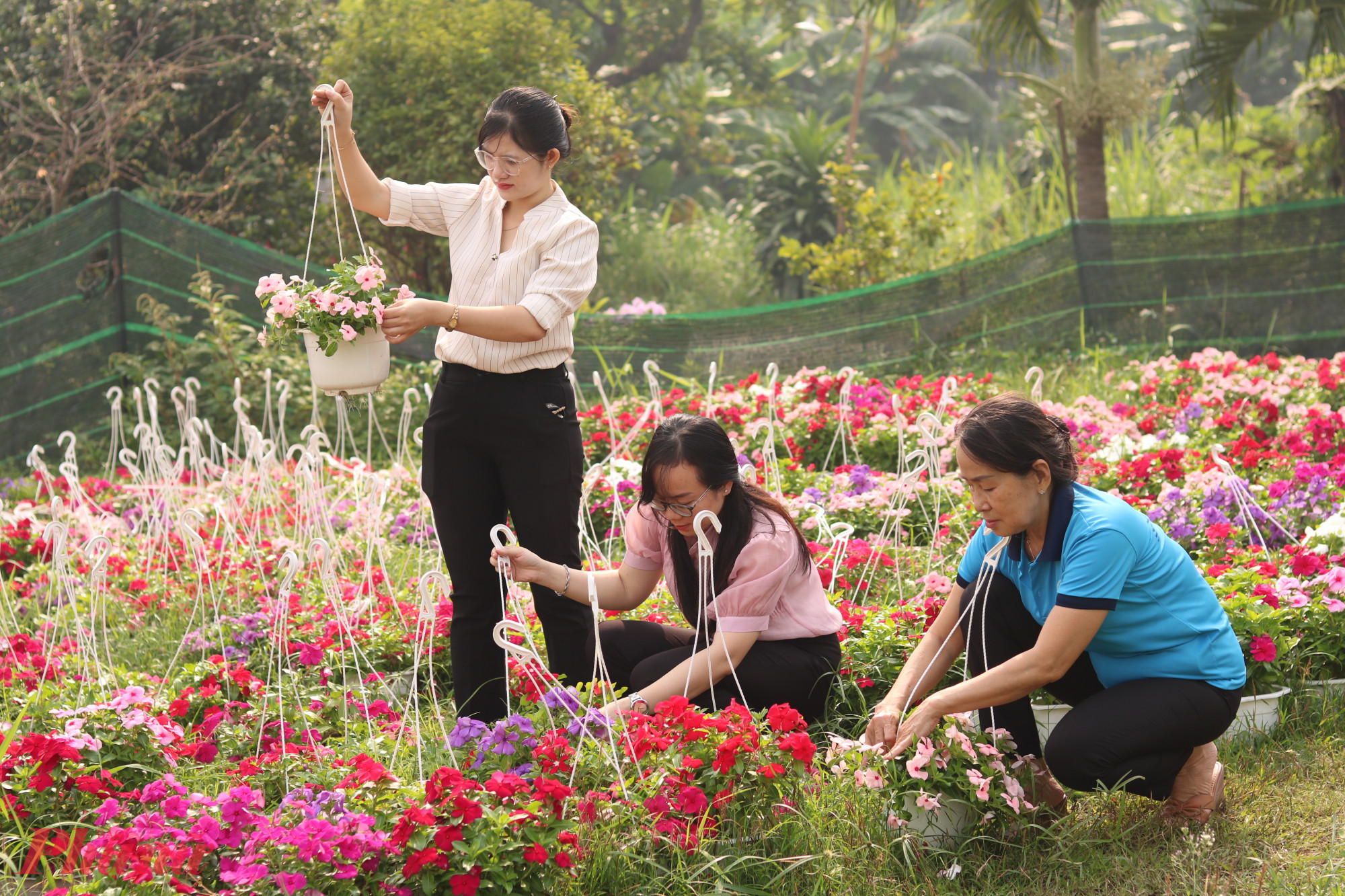 Góc hoa tết của hội LHPN phường Tân Chánh Hiệp. 