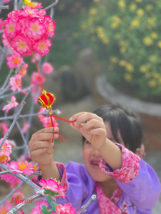 Các loại hoa hay được chưng bày trong dịp Tết nguyên đán gồm miền Bắc là hoa đào (may mắn, hạnh phúc, và trừ tà), hoa thủy tiên ( tài lộc, và thịnh vượng), hoa cúc (trường thọ, phúc lộc, và sự thanh khiết); Các loại hoa thường thấy dịp tết trong nhà người miền Trung gồm  hoa cúc vàng, hoa vạn thọ, và cây tắc.