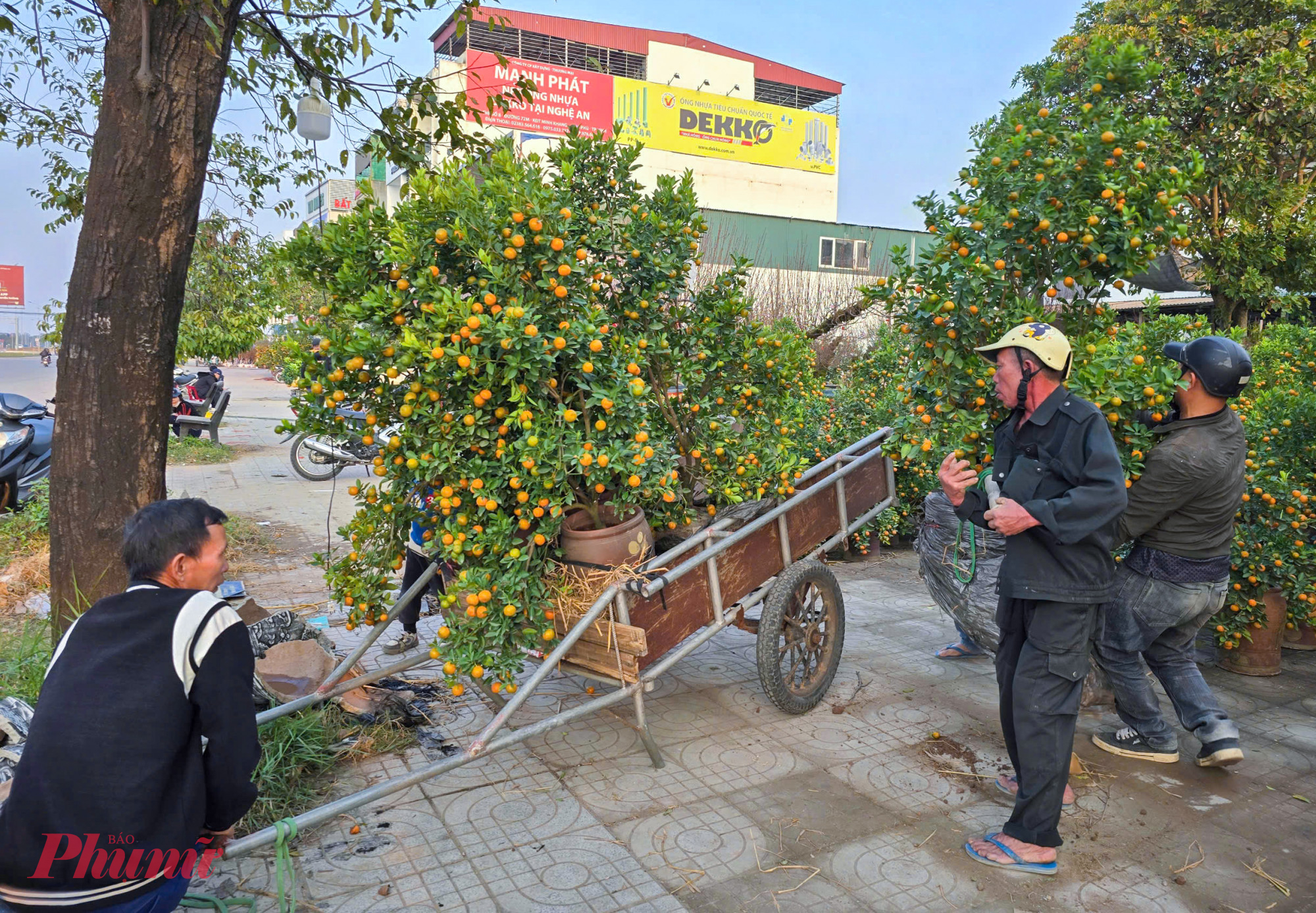 “Các năm trước bắt đầu từ 25 tháng Chạp là làm không có thời gian nghỉ, ngày kiếm được hơn 1 triệu đồng là chuyện bình thường. Nhưng năm nay buồn lắm, khách đi mua hoa tết ít nên chúng tôi cũng không có việc làm. Ngồi chờ đợi cả ngày chỉ chở được mấy chuyến, trừ xăng xe thì cũng chỉ còn vài trăm ngàn” - ông Lâm nói.