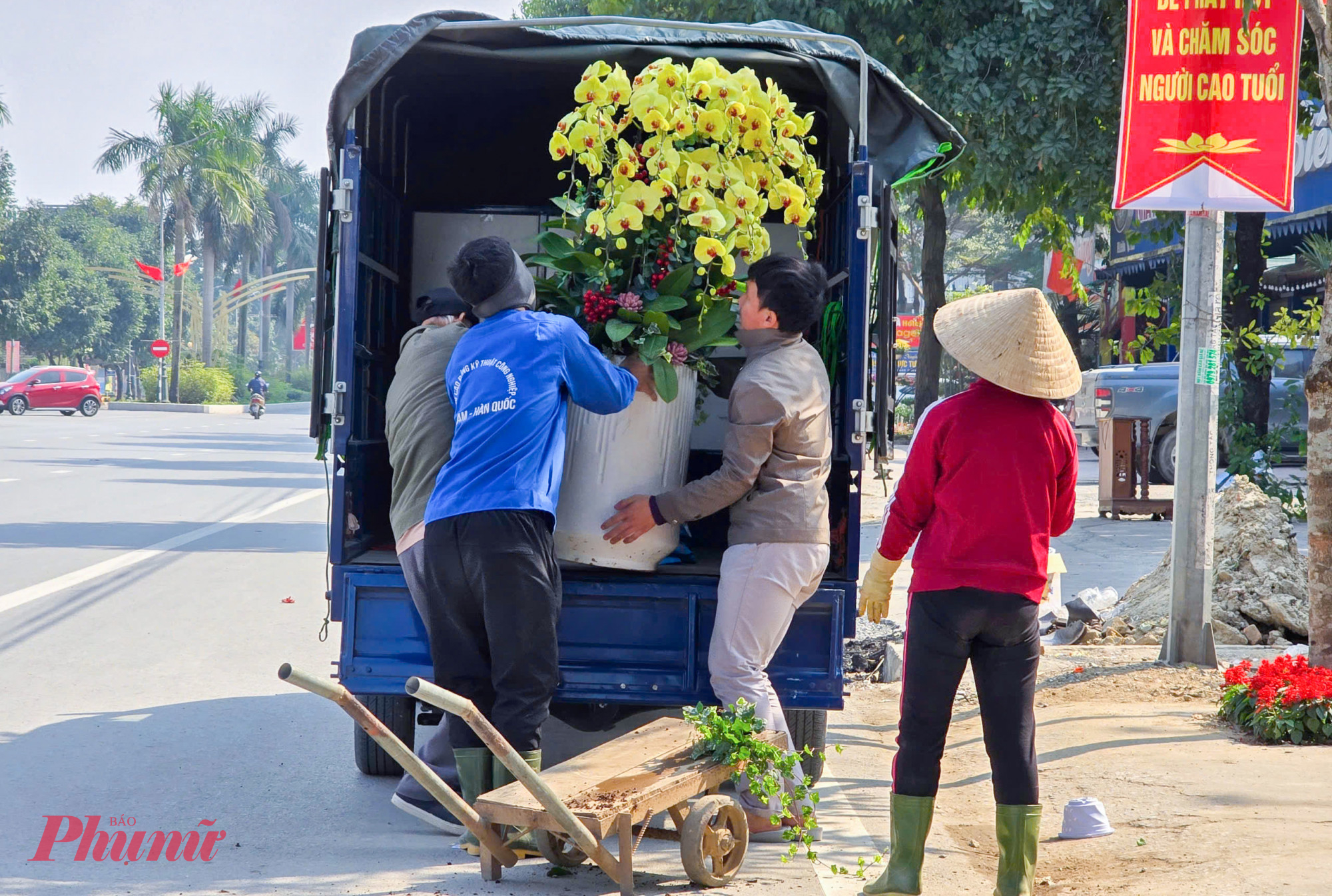 Ngoài xe máy, xích lô, xe kéo… một số nhóm còn dùng xe tải, xe cẩu nhỏ để vận chuyển thuê cây cảnh.