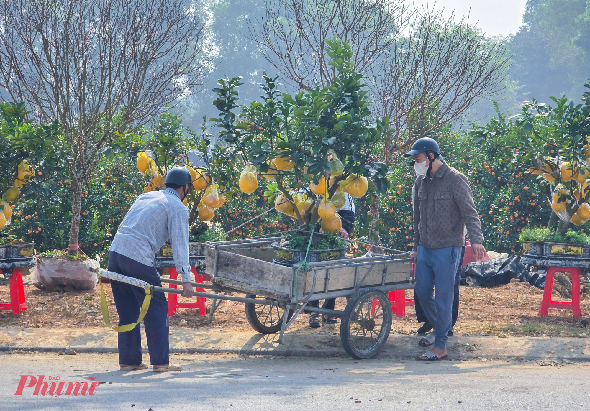 Phần lớn những người “vận chuyển” tết này là những người đạp xích lô, xe lai, phụ hồ… tranh thủ nửa tháng cận tết đi chở thuê hoa, cây cảnh về nhà cho khách. Để kiếm được đơn hàng, họ thường phân chia nhau túc trực bên cạnh các điểm bán hoa tết, sẵn sàng nhận đơn khi khách có nhu cầu.