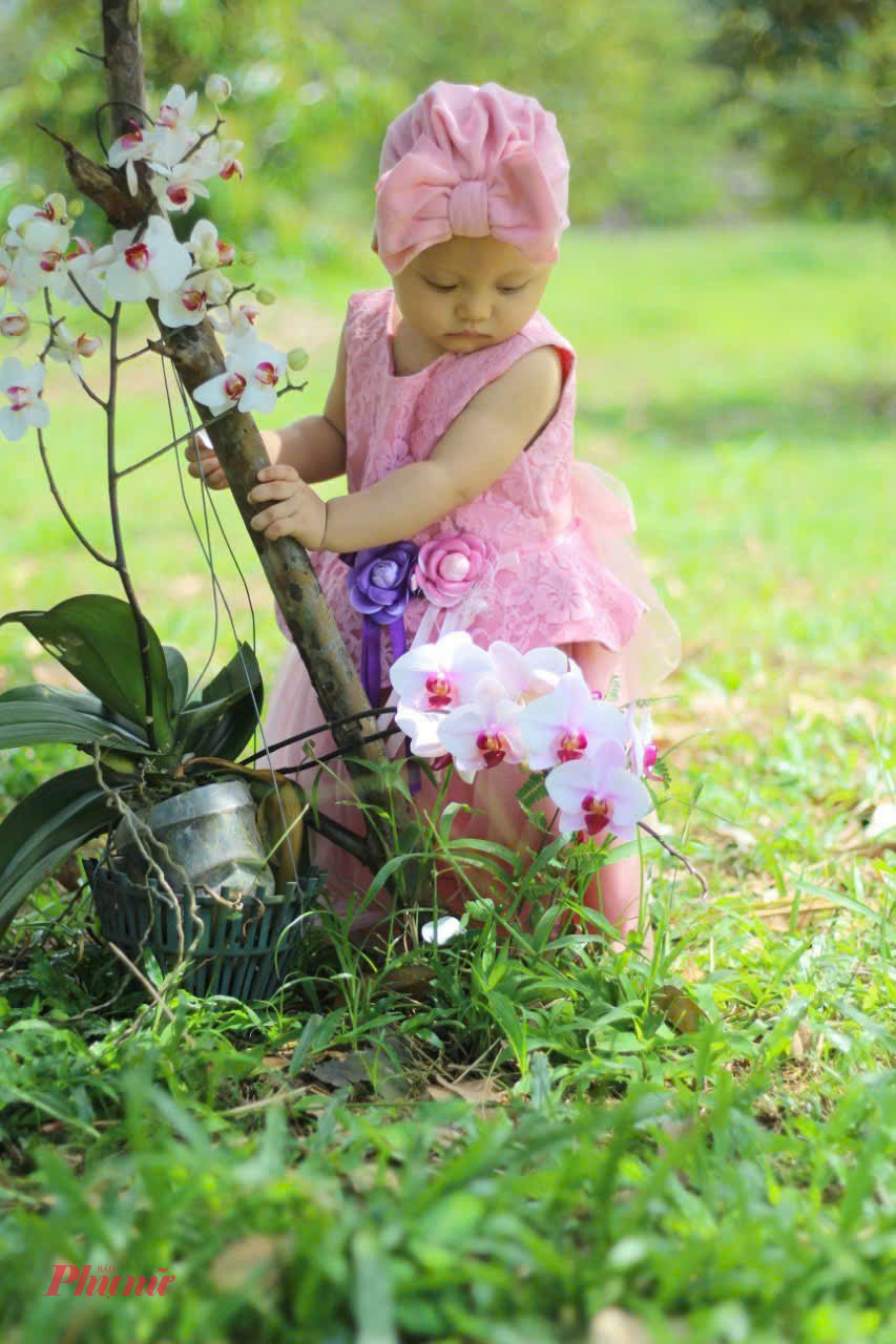 Hoa lan Ý nghĩa: Hoa lan biểu trưng cho sự sang trọng, thanh cao, và giàu có. Chưng hoa lan trong nhà mang đến vẻ đẹp tinh tế và may mắn. Đặc điểm: Hoa lan có nhiều loại như lan hồ điệp, lan vũ nữ, với màu sắc phong phú như trắng, tím, vàng.