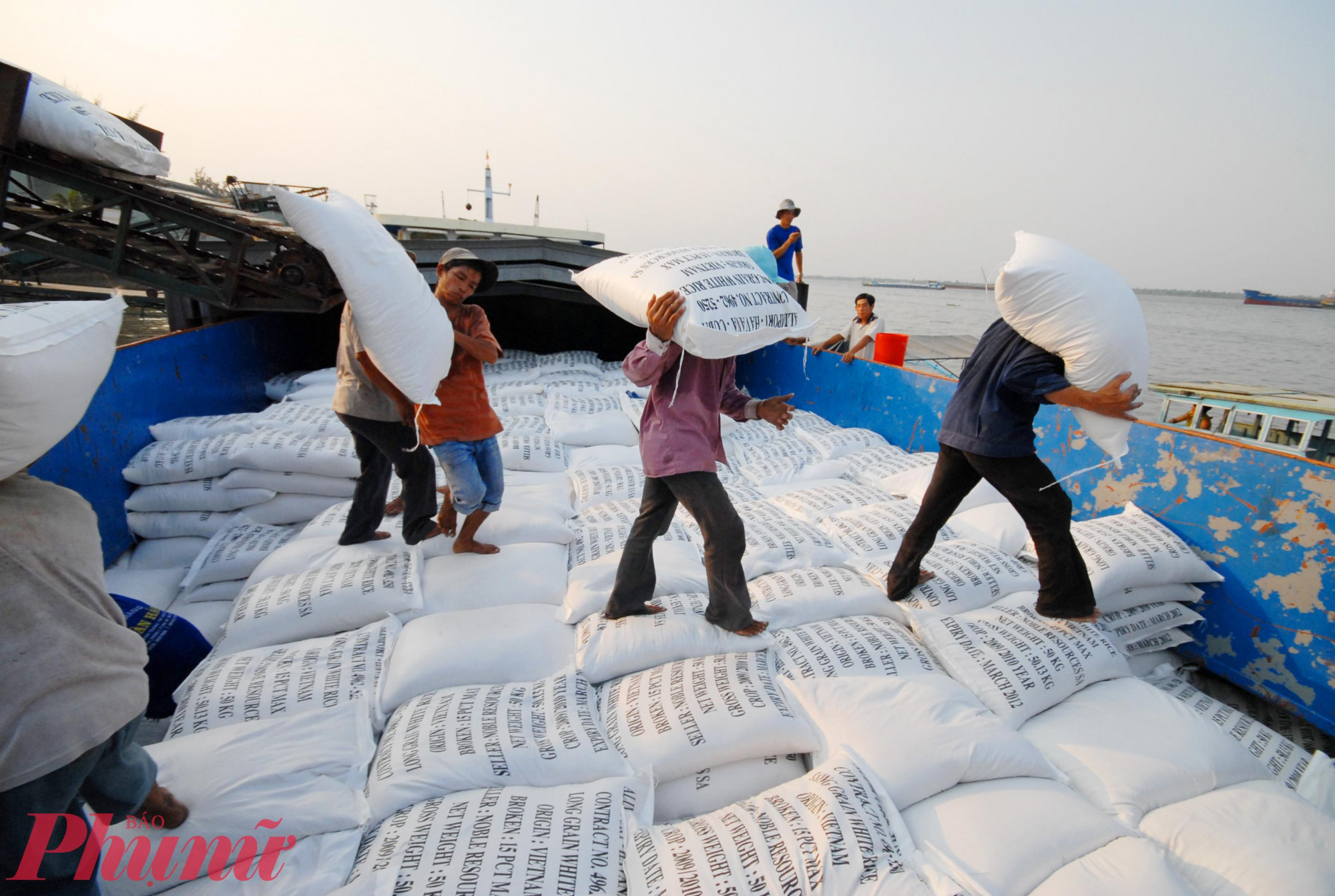 Tình hình xuất khẩu gạo đầu năm 2025 khó khăn, giá giảm... Ảnh: Huỳnh Trọng