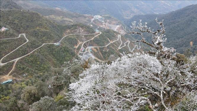 Băng giá xuất hiện tại các đỉnh Trống Páo Sang, Khau Phạ và Kháu Nha thuộc xã La Pán Tẩn (huyện Mù Cang Chải, Yên Bái)  ngày 26/1. Ảnh: TTXVN 