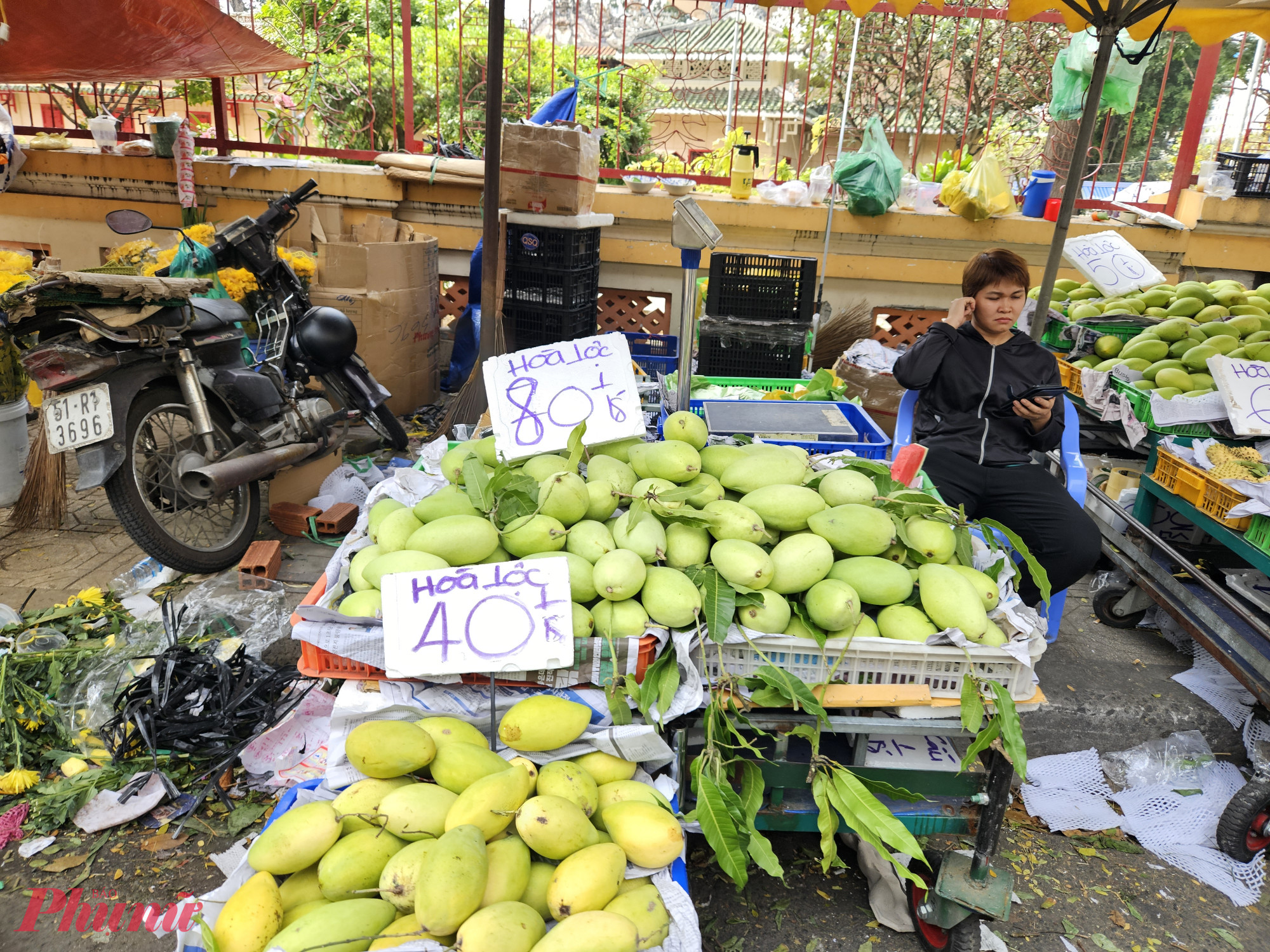 Xoài cát Hòa Lộc được bán phổ biến từ 60.000 - 100.000 đồng/kg, tăng 30.000 đồng/kg