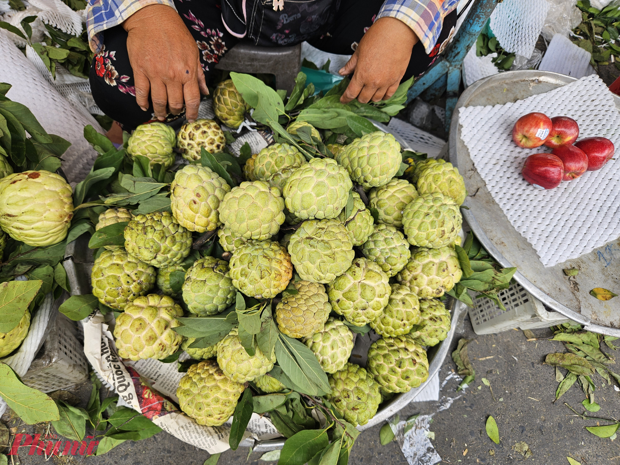 Mãng mãng cầu tròn là mặt hàng bán chạy. So với hôm qua, giá loại quả này đã tăng từ 30.000-50.000 đồng/kg, lên 90.000 - 120.000 đồng/kg tùy loại. 