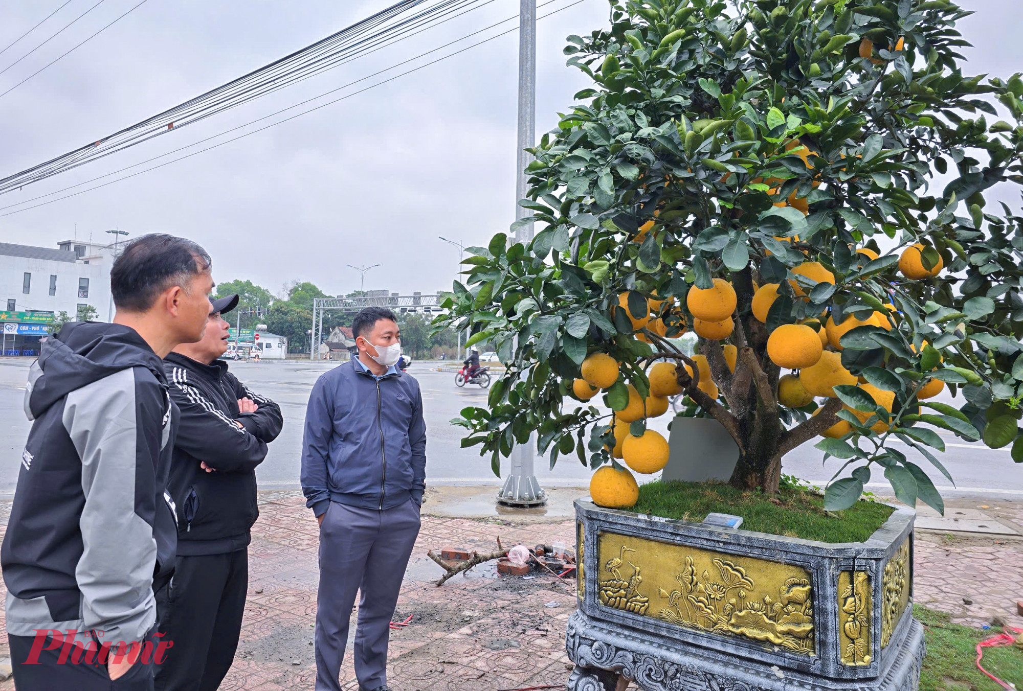 Anh Doãn Trung Phong (chủ 5 điểm kinh doanh cây cảnh tết ở TP Vinh) cho biết, chưa năm nào việc kinh doanh cây cảnh tết lại “bể” nặng như năm nay. Từ Mùng 3 tết, anh đã phải liên hệ với các nhà vườn ở Thanh Hóa, Hà Tĩnh thanh lý giá rẻ đào, quất, mai… song hiện vẫn còn hơn 300 cây chưa bán được.