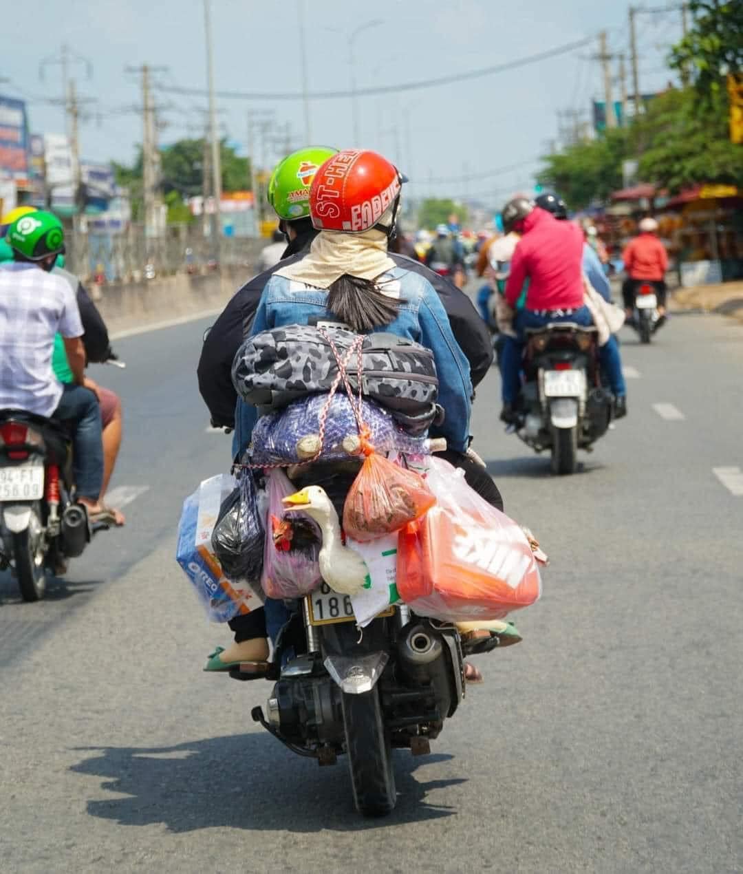 Những chiếc xe như mang cả mùa xuân ở quê lên phố thị. (ảnh minh họa)