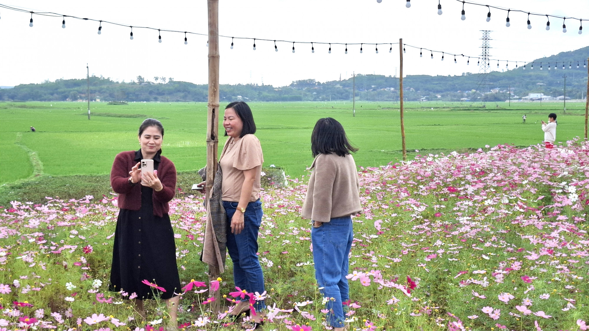 Từ đồng hoa cánh bướm nhái nhìn ra view ruộng