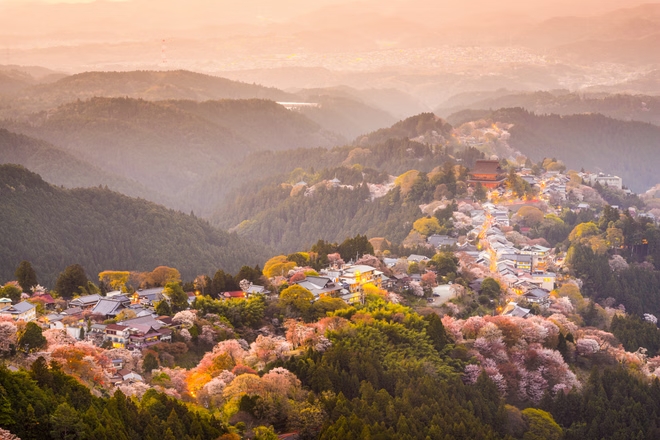 Yoshinoyama, Nhật Bản vào mùa xuân - Ảnh: Getty Images/iStockphoto