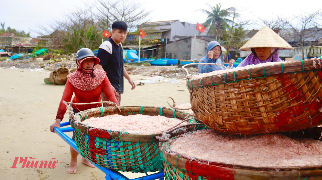 Ngoài những người trực tiếp đánh bắt, mùa ruốc cũng mang đến nguồn thu nhập khá cho nhiều phụ nữ trên bờ. Những người làm nghề vận chuyển ruốc thuê sẽ kiếm được 200.000 – 300.000 đồng mỗi ngày.