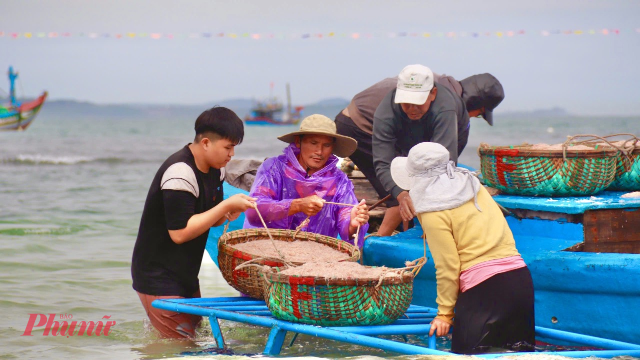 Mỗi ngày, có hàng chục tàu nhỏ cập bến tại bãi biển thôn Châu Thuận Biển (xã Bình Châu) mang theo những giỏ ruốc đầy ắp. Trên bờ, cảnh mua bán rộn ràng, bởi hàng khi tàu về hàng chục thương lái đã có mặt để mua ruốc mang đi tiêu thụ. 