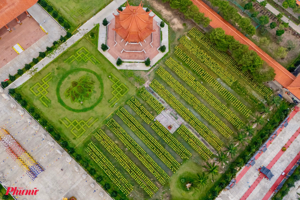 Hai cánh đồng hoa hướng dương với khoảng 20.000 cây được trồng hai bên khuôn viên thẳng tấp từ trên cao.