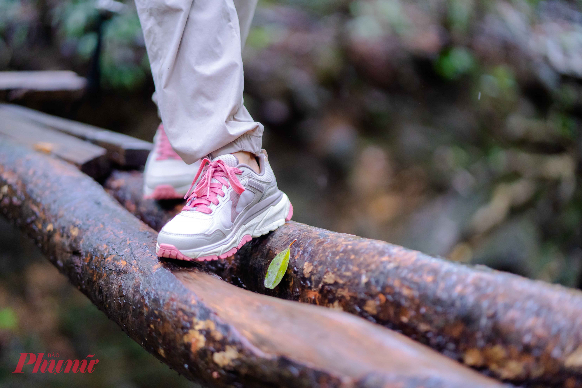 Giày leo núi chuyên dụng là điều tối quan trọng để trekking Bạch Mã