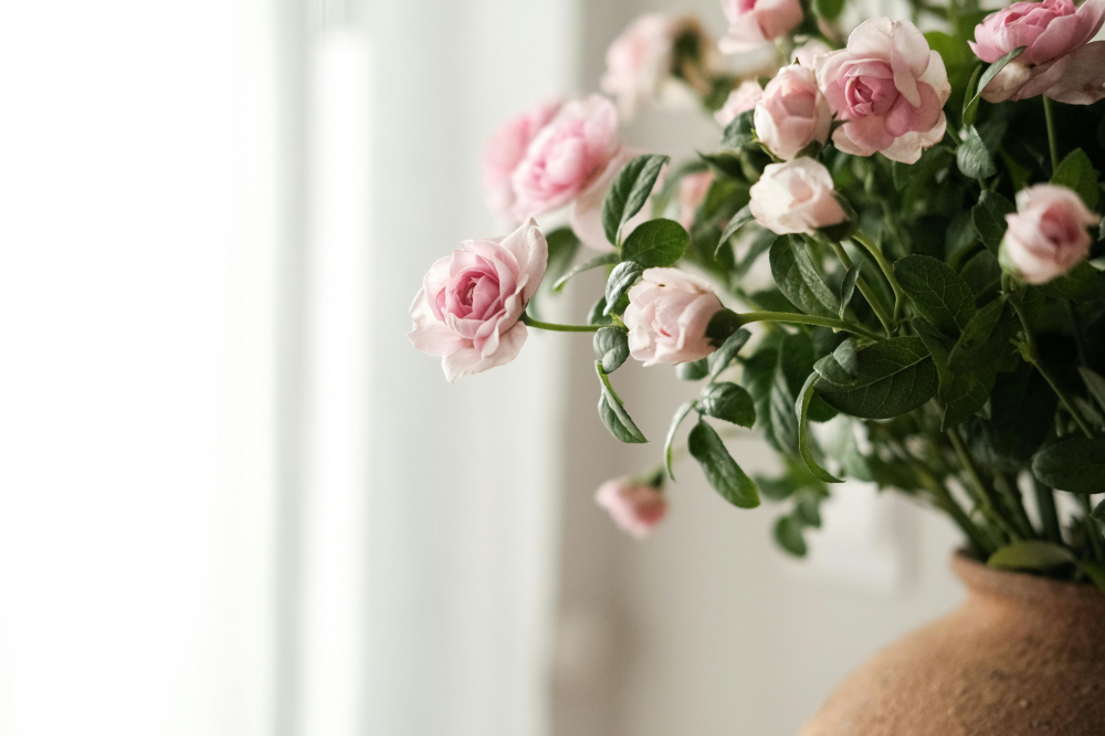 Nên chưng hoa tươi trong nhà thay vì hoa giả/hoa nhựa - Ảnh: Pexels