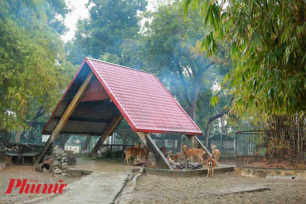 Thời tiết tại Hà Nội đang rét đậm, để giữ ấm cho động vật tại vườn thú, công nhân phải túc trực để chăm sóc, theo dõi sức khỏe cho thú khi nhiệt độ xuống thấp.