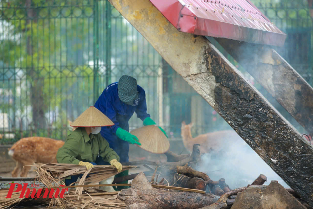 Các khu chuồng động vật móng guốc, Vườn thú sử dụng thêm phương án đốt lửa thường xuyên 24/7 để tạo không gian ấm áp cho thú trú ẩn.