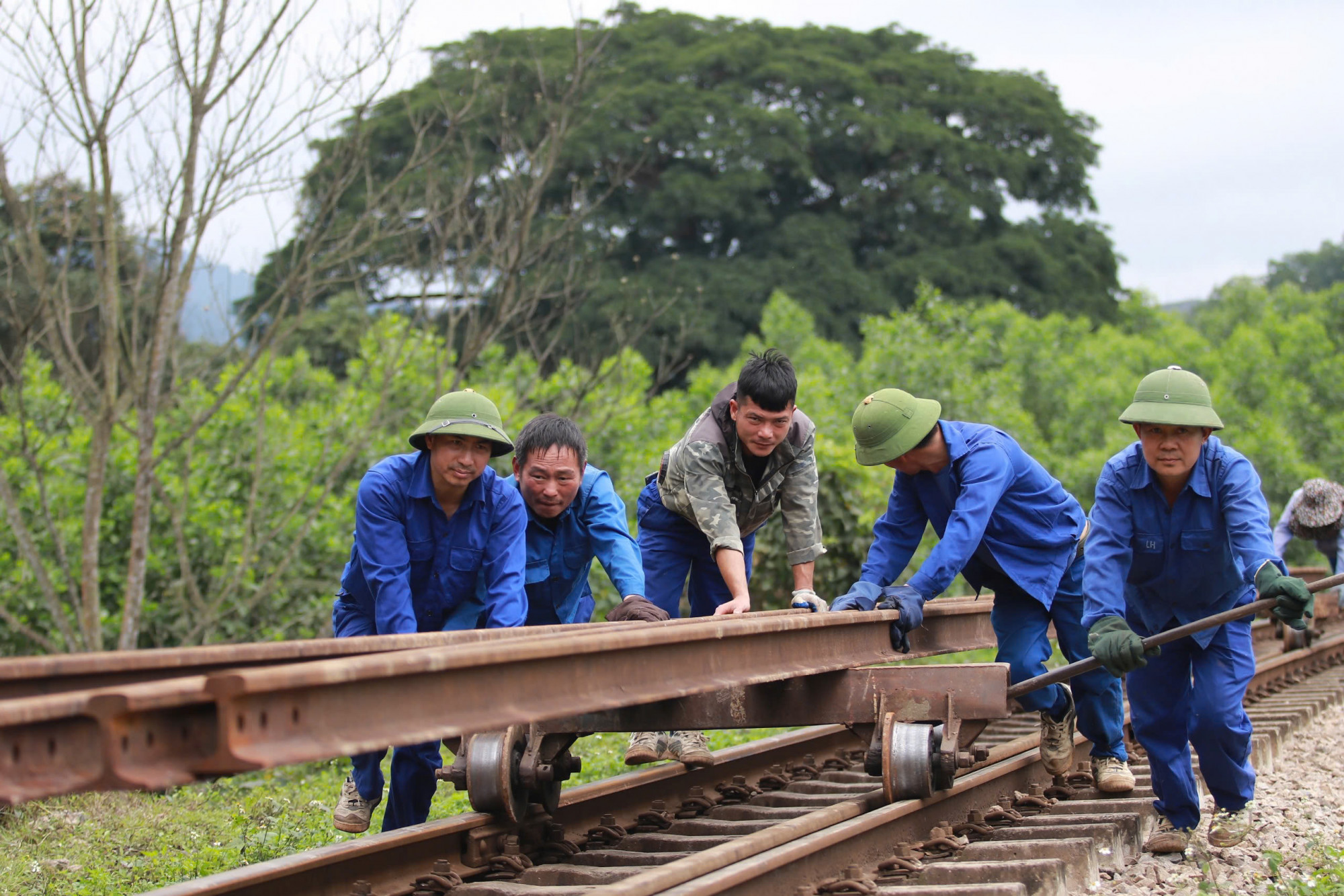 Công nhân vận chuyển thanh ray mới tới vị trí tai nạn để thay thế ray cũ hư hỏng - Ảnh: Quỳnh Lưu