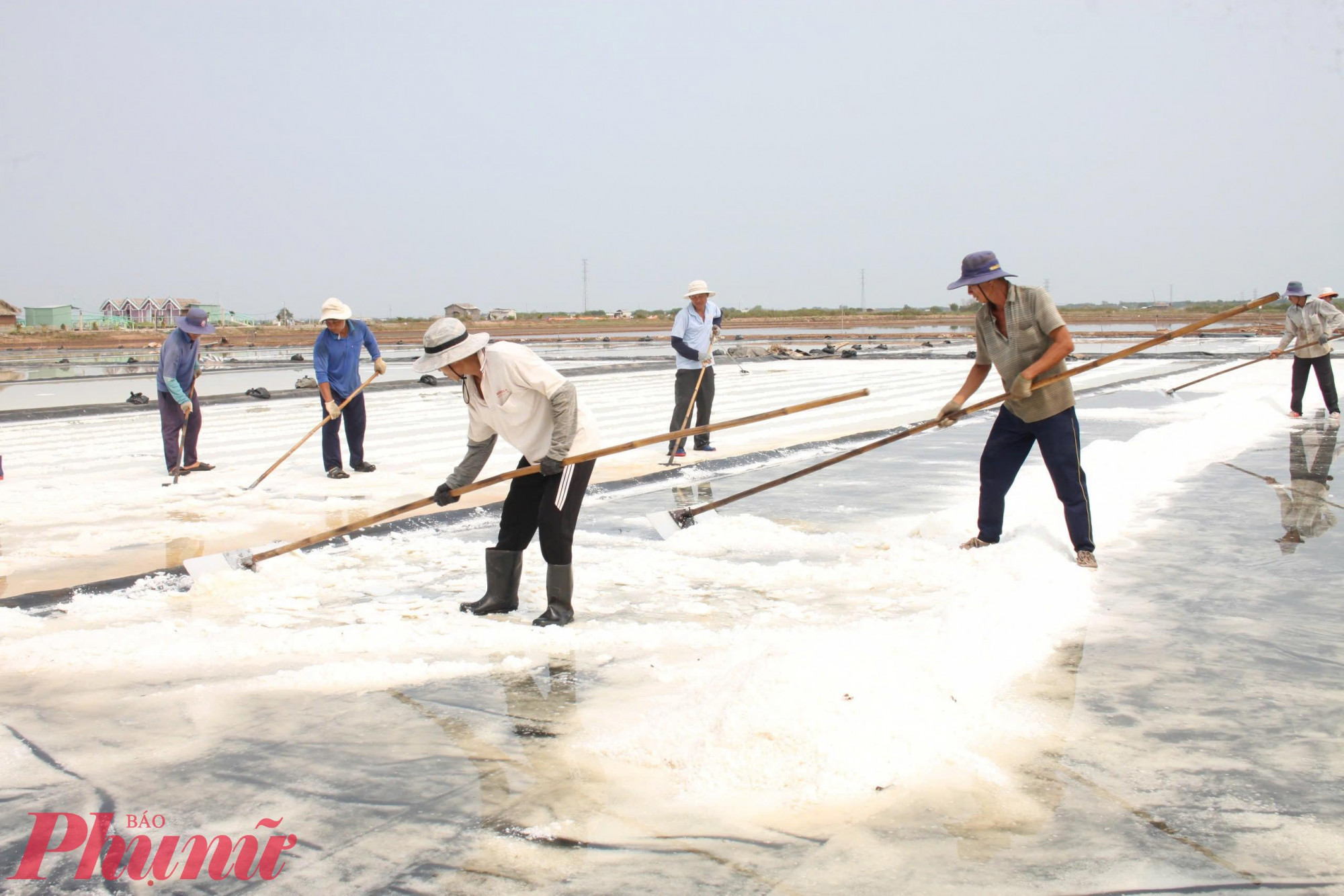 Diêm dân ở Bạc Liêu thu hoạch muối. Ảnh: Huỳnh Lợi