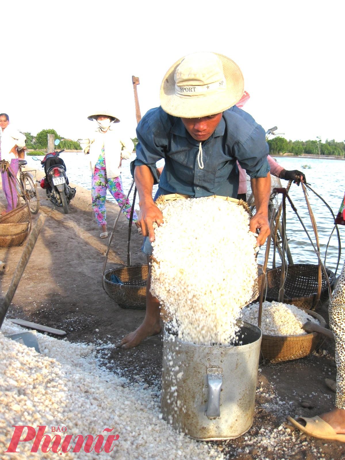 Thương lái thu mua muối ở Bạc Liêu. Ảnh: Huỳnh Lợi 