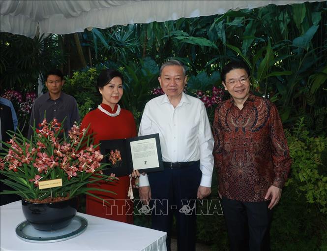 Tổng bí thư Tô Lâm và Phu nhân cùng Thủ tướng Singapore Lawrence Wong dự Lễ đặt tên một loài hoa lan mới mang tên 'Tô Lâm Linh Ly tại Vườn Thực vật quốc gia Singapore - Ảnh: TTXVN