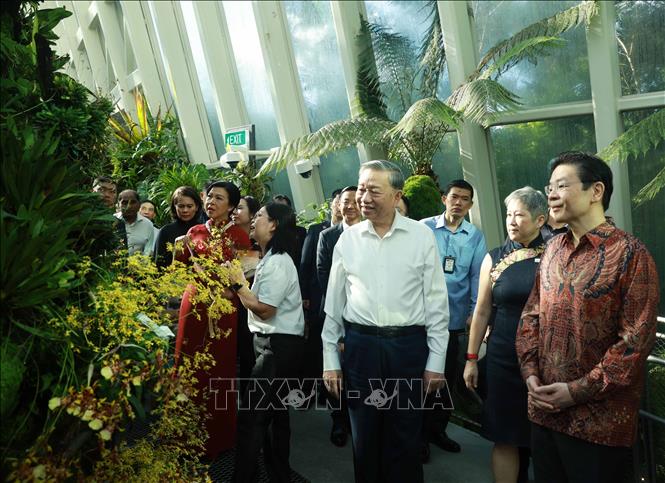 [Chú thích ảnh] Tổng bí thư Tô Lâm và Phu nhân cùng Thủ tướng Singapore Lawrence Wong tham quan Vườn Thực vật quốc gia Singapore - Ảnh: TTXVN