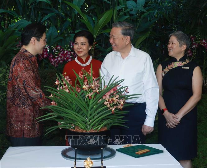 Tổng bí thư Tô Lâm và Phu nhân cùng Thủ tướng Singapore Lawrence Wong dự Lễ đặt tên hoa lan tại Vườn Thực vật quốc gia Singapore - Ảnh: TTXVN