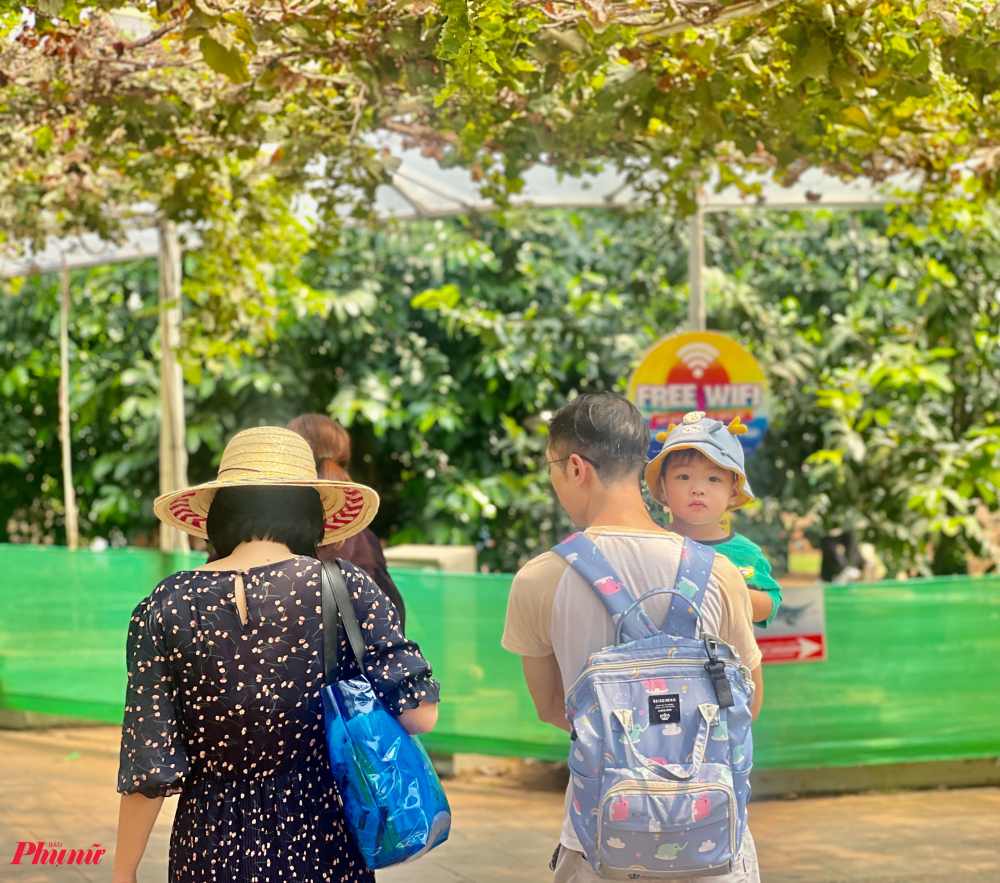 Là một sản phẩm du lịch độc đáo gắn với nông nghiệp, vườn trái cây Suối Tiên Farm bên trong Khu du lịch Văn hóa Suối Tiên (TP. Thủ Đức, TPHCM) mang đến trải nghiệm “có một không hai” cho du khách khi trực tiếp tham quan, mua trái và thưởng thức tại vườn. Đây cũng là điểm đến yêu thích của các gia đình có trẻ nhỏ, muốn trải nghiệm không gian gần gũi với thiên nhiên trong ngày nghỉ cuối tuần. Nhiều bạn trẻ cũng đến đây đổi gió, nhất khi TPHCM đang vào mùa nóng bức.