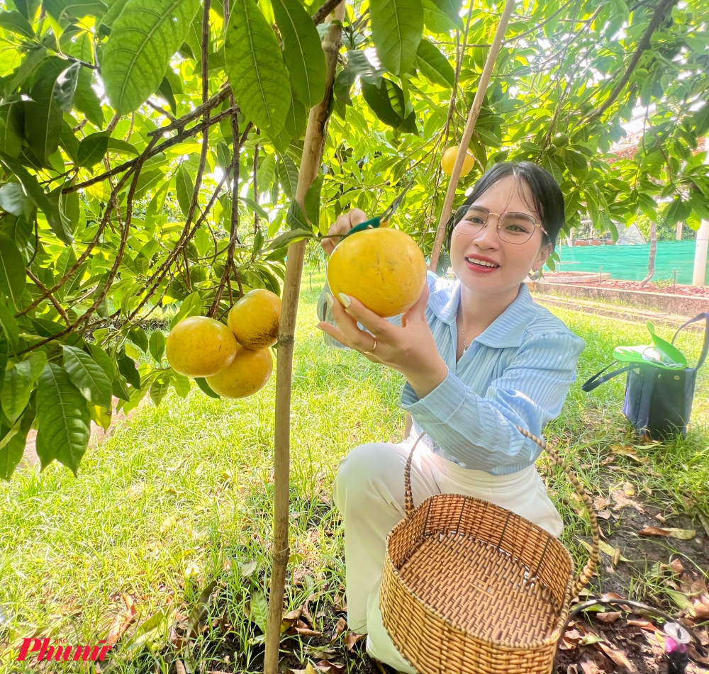 Ngoài được trải nghiệm làm nông, du khách có thể lựa chọn mua sản phẩm được vườn thu hoạch, đóng gói sẵn. 