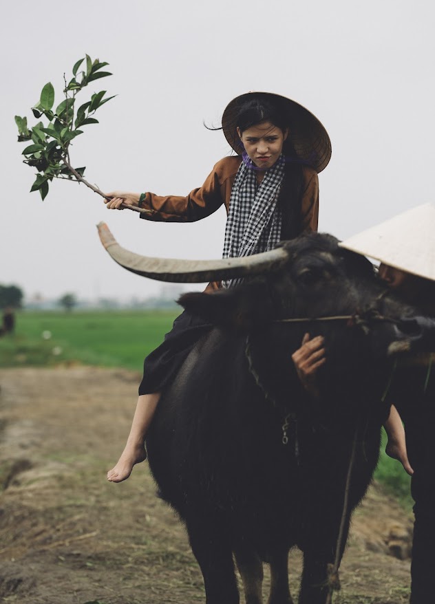 Một số địa điểm bạn có thể đến tại Hội An nếu muốn tham gia trải nghiệm dịch vụ cưỡi trâu, chụp hình gồm làng Cẩm Thanh nổi tiếng với rừng dừa nước, nơi ngoài cưỡi trâu, bạn có thể chèo thuyền thúng, tìm hiểu đời sống người dân; làng Cẩm Kim nổi tiếng với nghề mộc truyền thống; làng Duy Vinh nổi tiếng với nghề dệt chiếu cói.