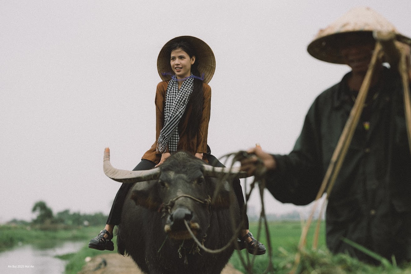 Ban đầu mình cũng lo lắng, cũng yêu cầu chủ của con trâu đi kèm hay dắt trâu, nhưng sau 5 phút, mình đã có thể thả lỏng để chụp hình, thậm chí, thoải mái tạo dáng - chị Nguyễn Thị Thắm - du khách đến từ Huế - chia sẻ. Chị Thắm cũng nói thêm, tạo hình trong bộ ảnh không khó, song nhờ vẻ đẹp của ruộng lúa, của chú trâu nhởn nhơ gặm cỏ hay cảm giác được ngồi trên lưng trâu như các bức tranh minh họa trong sách giáo khoa, khiến bộ ảnh thật đặc biệt, thật có ý nghĩa.