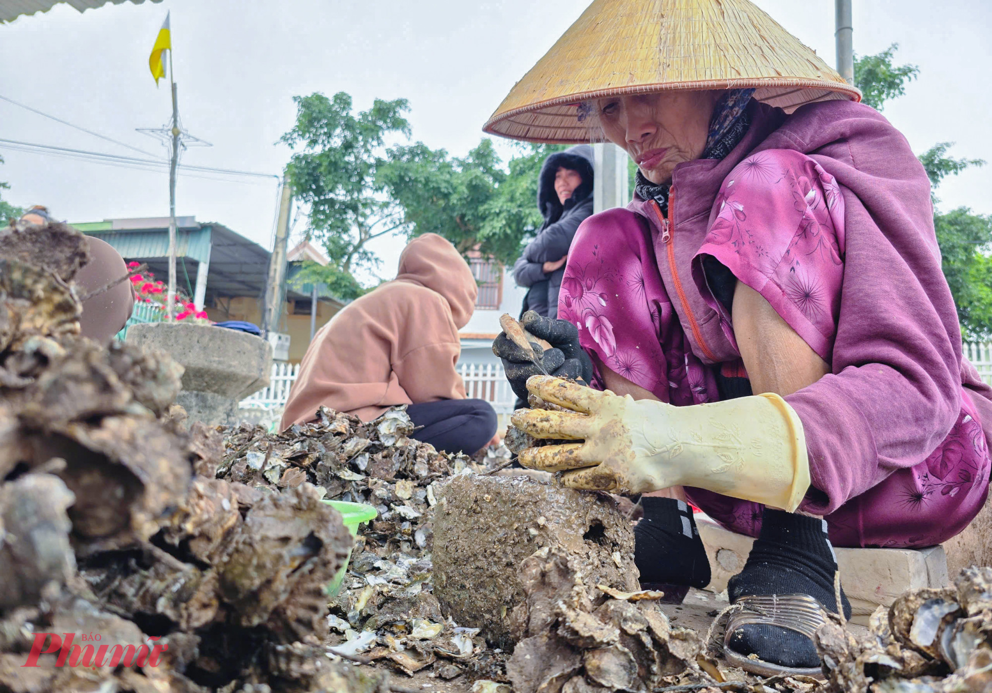 Tay thoăn thoắt dùng búa cạy vỏ, tách ruột từng con hàu, bà Nguyễn Thị Hòa (84 tuổi, trú xã An Hòa) cho biết, mỗi ngày bà tách được 3-4kg ruột hàu. Mỗi kg ruột tách được, bà được chủ trả 30.000 đồng tiền công. Thu nhập không cao, nhưng đó là khoản thu nhập quý và cũng là duy nhất bà có thể kiếm được ở cái tuổi xế chiều này.