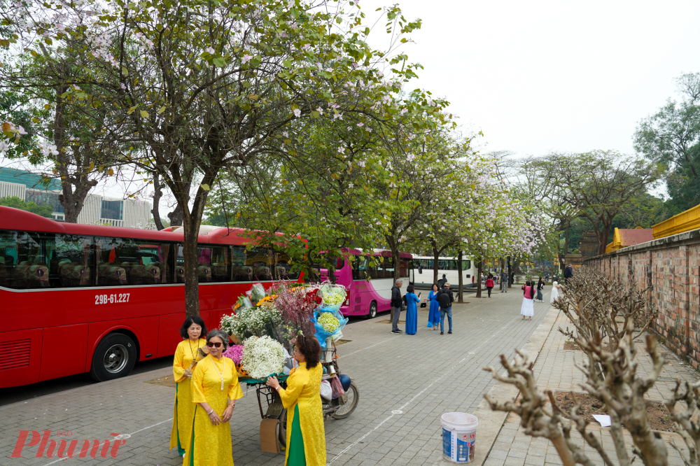 Tuy Hà Nội có nhiều cung đường có hoa ban nhưng cung đường ở Bắc Sơn, Hoàng Diệu với những hàng hoa ban tím dày đặc thơ mộng vẫn luôn được nhiều người yêu quý nhất.