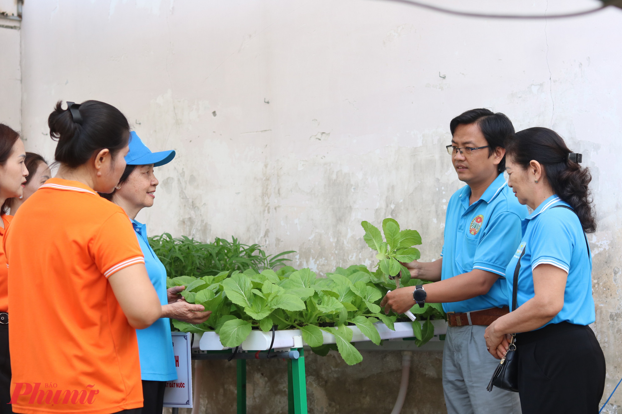 Các dì, các chị được hướng dẫn cách trồng và chăm sóc rau bằng hệ thống thuỷ canh. 