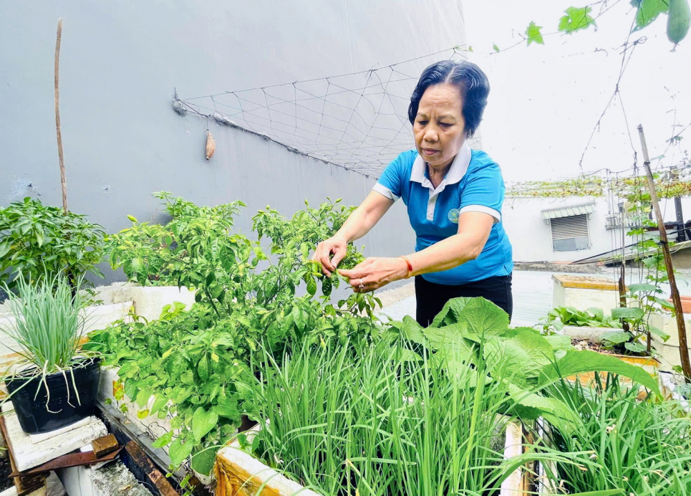 Bà tổ trưởng miệt mài may mền ấm tặng dân Bà Nguyễn Thị Hoàng tận dụng khoảng sân thượng để trồng rau sạch tặng phụ nữ neo đơn và những hoàn cảnh khó khăn