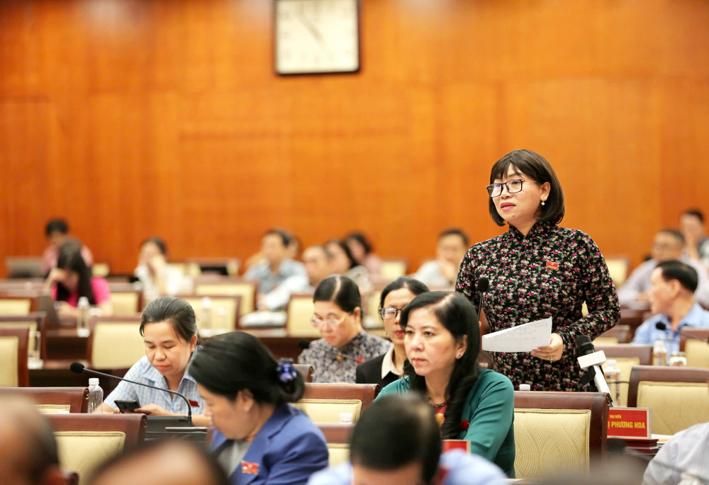 Bà Trần Thị Phương Hoa - Phó chủ tịch Hội LHPN TPHCM, đại biểu HĐND TPHCM - phát biểu ý kiến trong một cuộc họp chuyên đề của HĐND TPHCM. Bà là một trong những người tự nguyện xin nghỉ hưu trước tuổi để nhường sân cho lớp trẻ - ẢNH: PHÙNG HUY