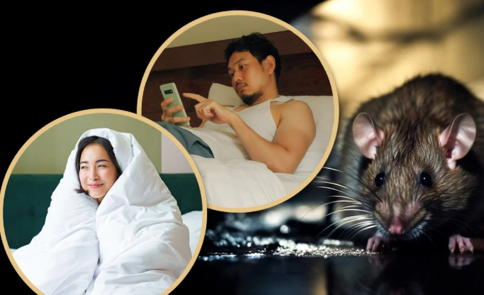 Các bài đăng về chủ đề này đã thu hút hơn 2 tỷ lượt xem trực tuyến. Ảnh: Weixin