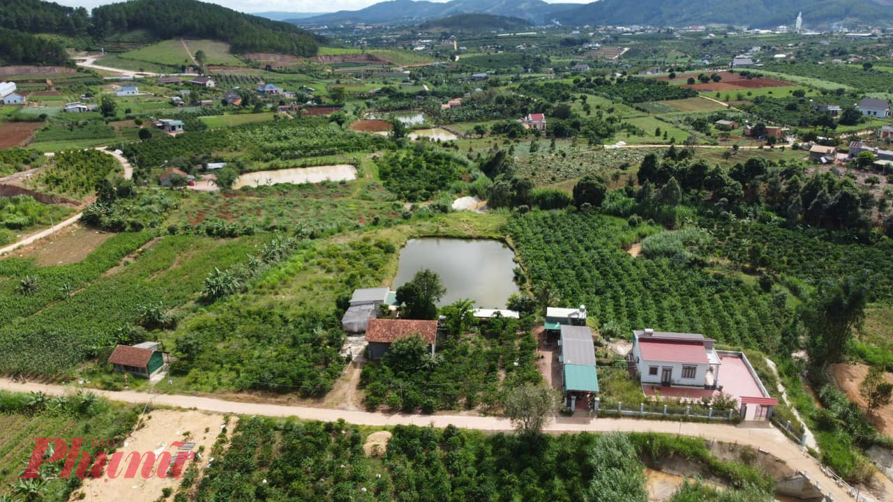 Giao dịch bất động sản Lâm Đồng giảm mạnh ở tất cả loại hình.