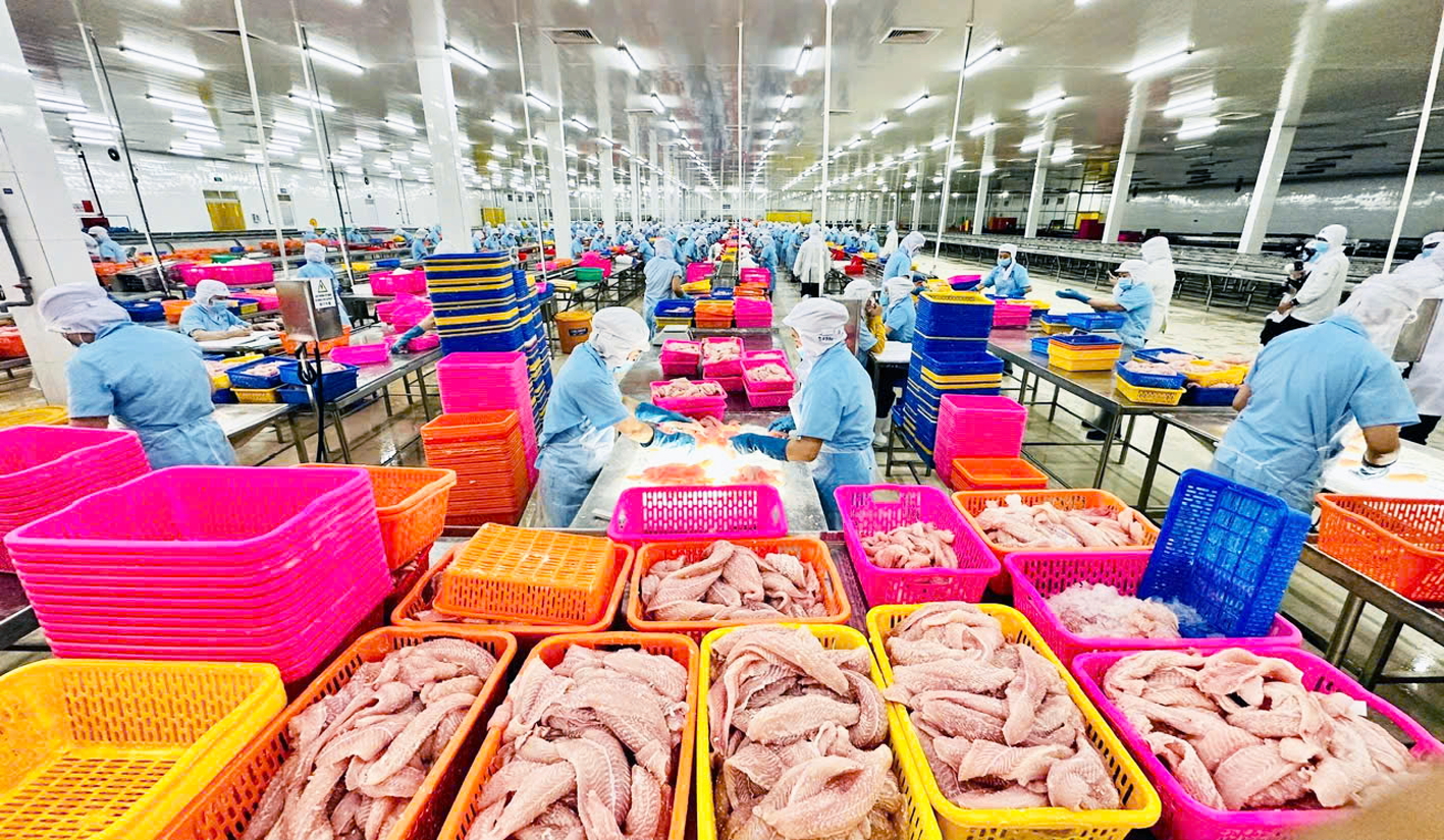 Việt Nam và Mỹ đã khởi động đàm phán vấn đề kinh tế - thương mại giữa 2 nước. Trong ảnh: Chế biến thủy sản xuất khẩu ở Công ty cổ phần Nam Việt (Navico) tại An Giang - ẢNH: MAI CA