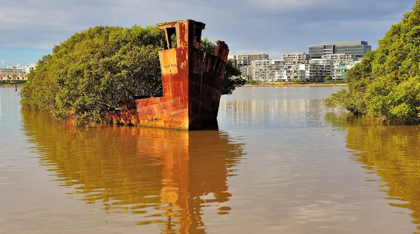 “Rừng nổi” ở Sydney này là điểm đến không thể bỏ qua cho du khách và những người đam mê lịch sử. Chiếc tàu SS Ayrfield phục vụ trong thế chiến II này đóng tại Scotland vào năm 1911 và được dùng vận chuyển hàng tiếp tế cho quân đội Mỹ chiến đấu ở Thái Bình Dương. 