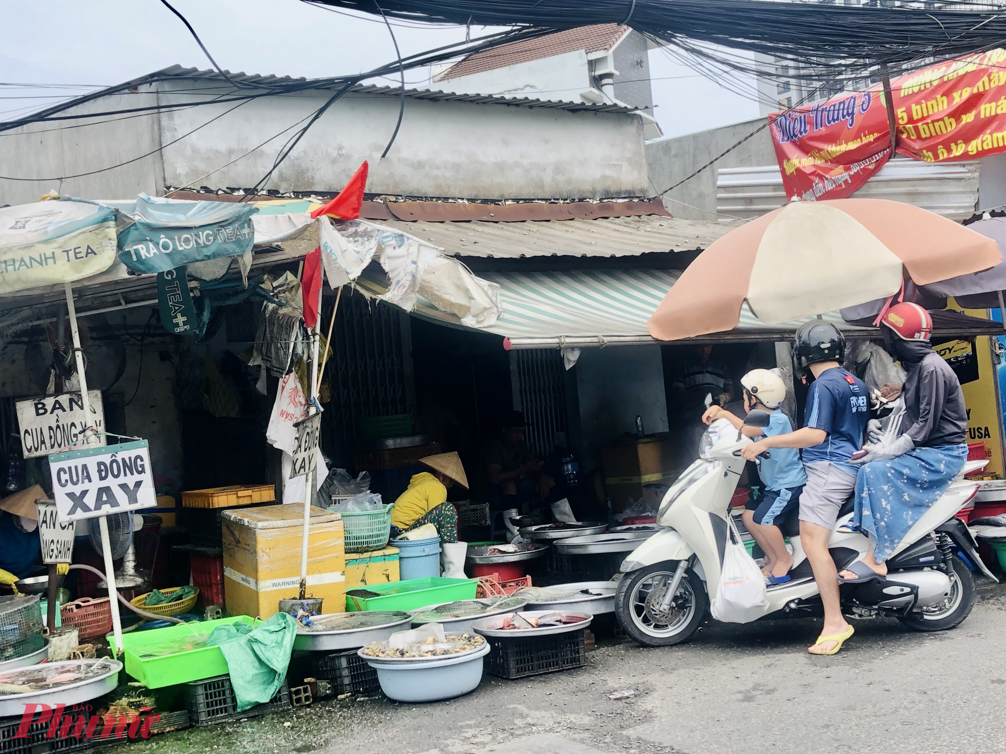 Riêng các ngành hàng khác như cá, các loại gia cầm thì