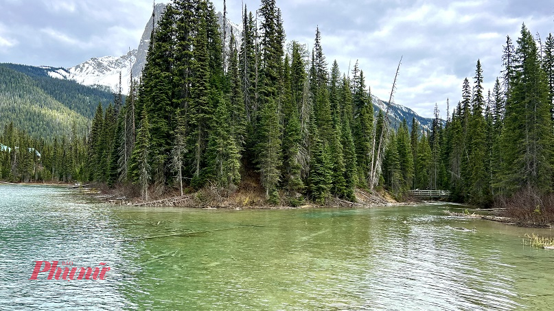 Banff National Park còn là nơi sinh sống của nhiều loài động vật hoang dã như: gấu, nai, linh dương và các loài chim quý hiếm, tạo nên một hệ sinh thái vô cùng đa dạng.
