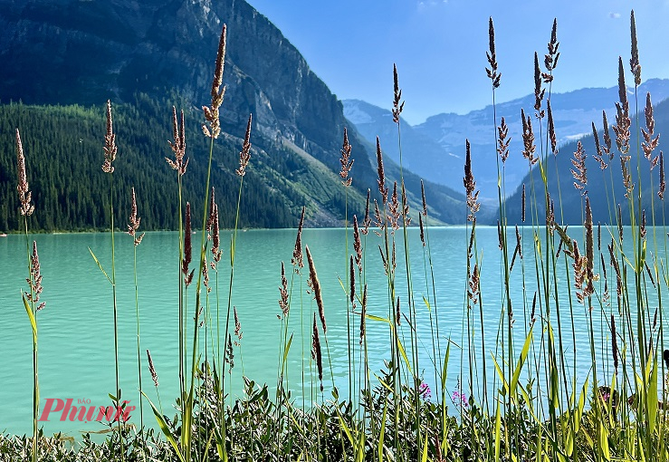 Banff có hồ Moraine được mệnh danh là một trong những hồ đẹp nhất thế giới với màu xanh biếc đặc trưng và dãy núi Ten Peaks tráng lệ làm nền. Moraine thường được xuất hiện trên bưu thiếp và hình nền.