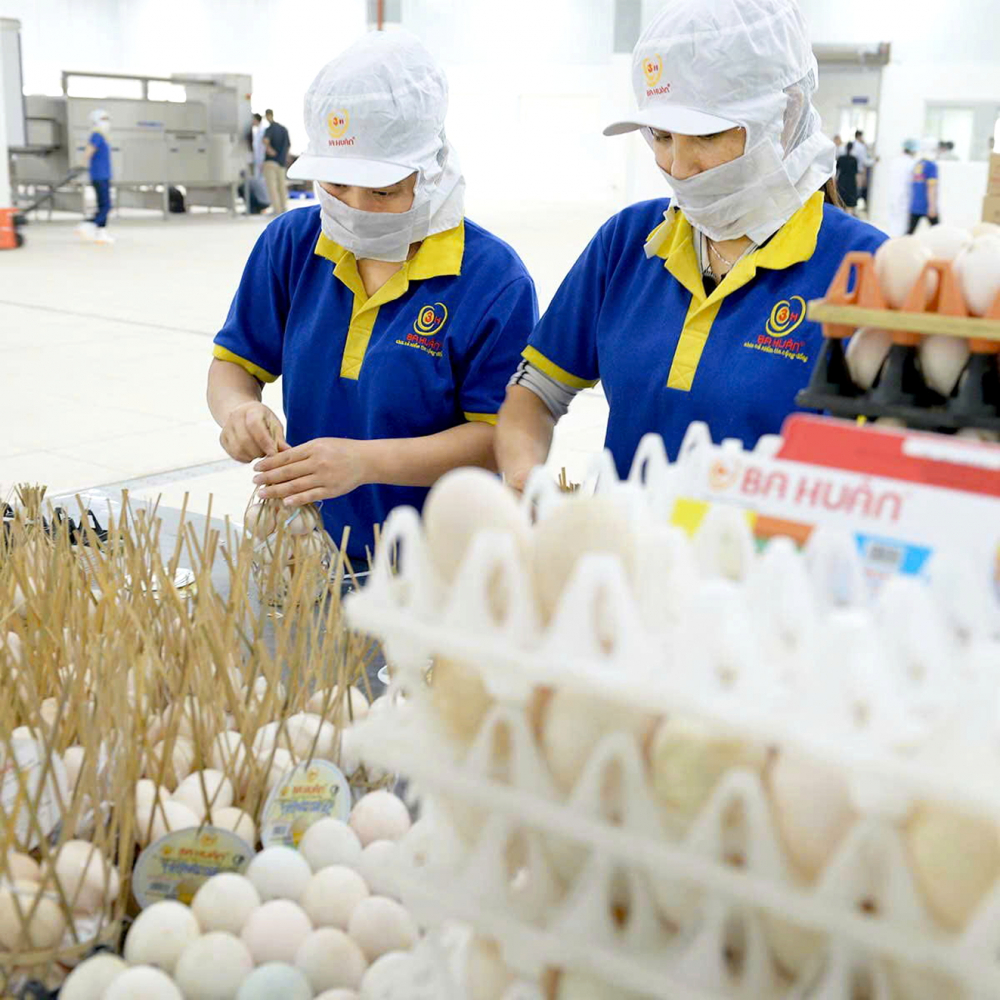 Công ty cổ phần Ba Huân - đơn vị chủ lực cung ứng trứng gia cầm với giá bình ổn cho thị trường TPHCM - ẢNH: HOA LÀI