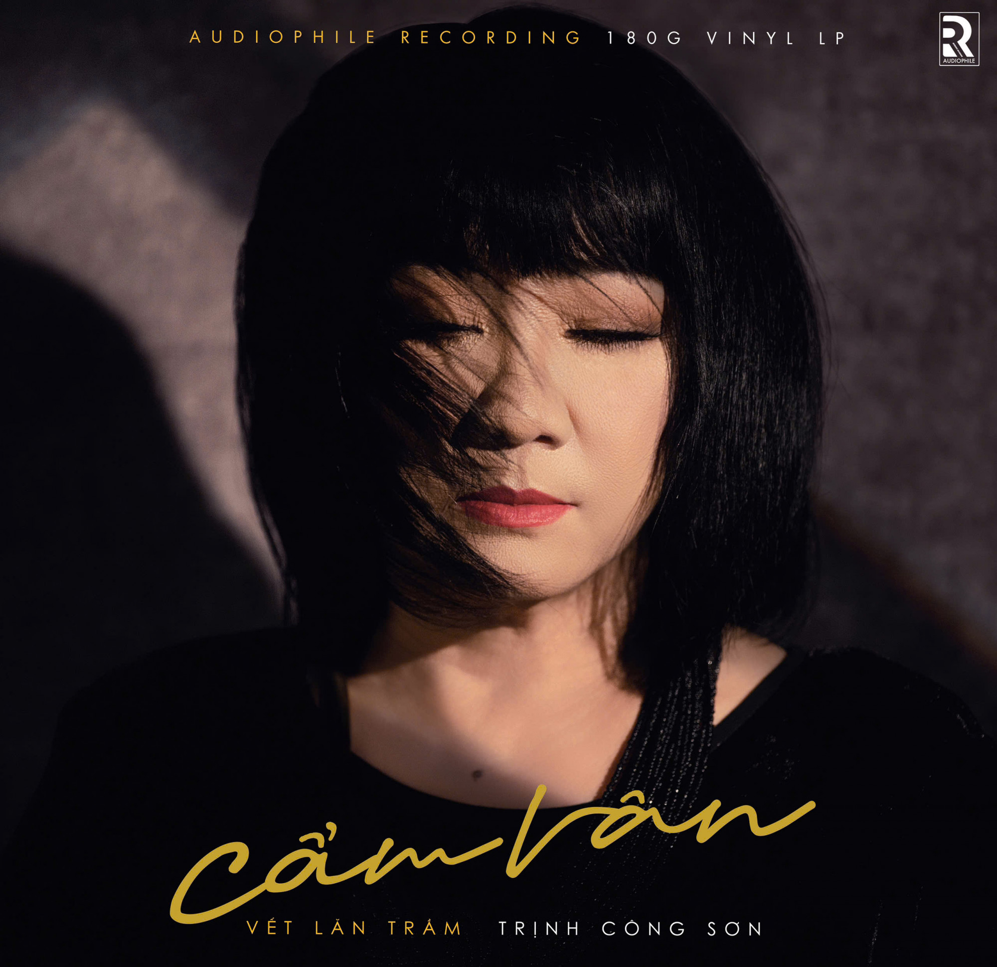 Ca  sĩ Cẩm Vân  phát hành album mới sau 