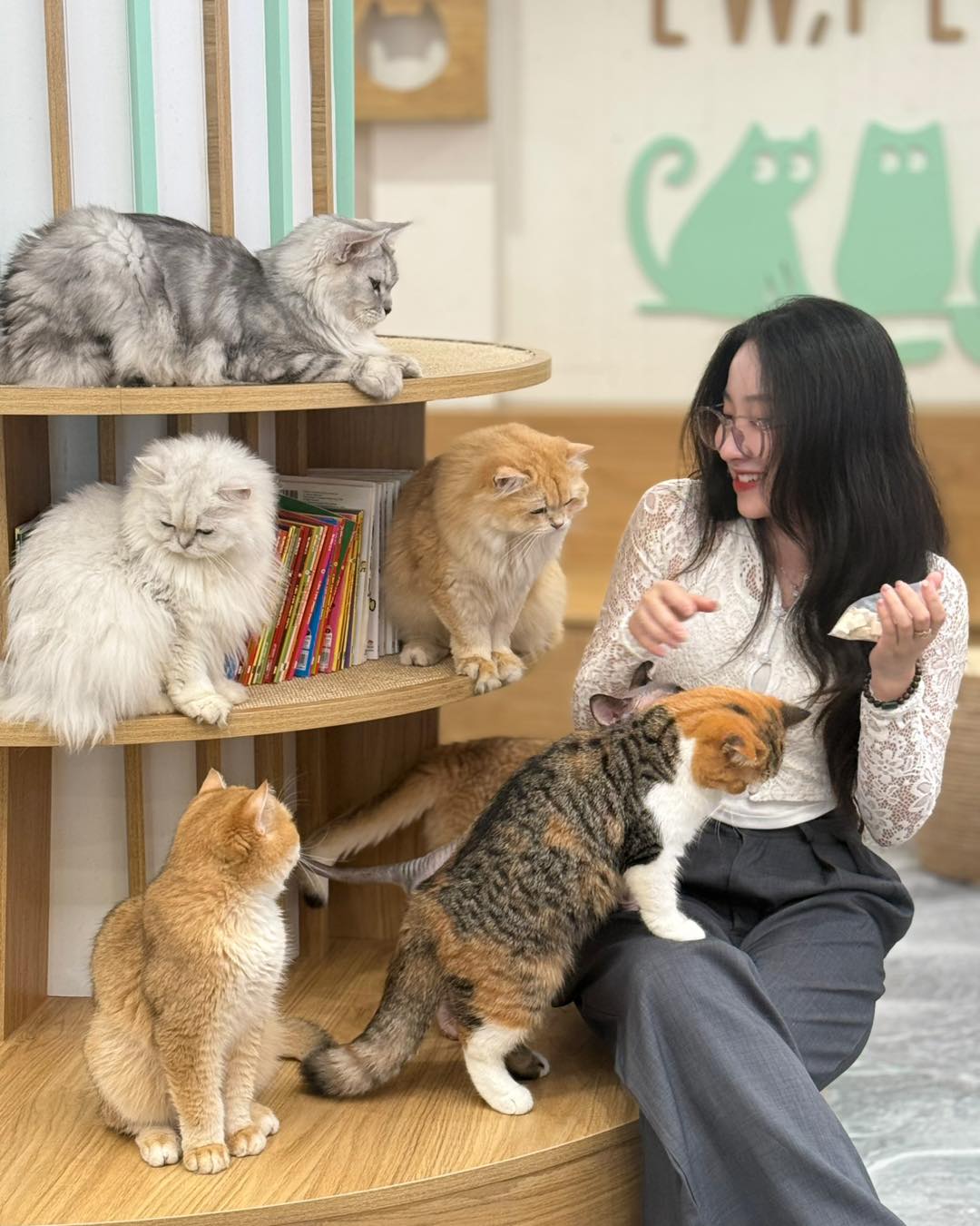 Mochi Cat Cafe, Hotel & Pet Shop tọa lạc tại 23-25 Phan Chu Trinh, Bình Thạnh, là quán cà phê mèo kết hợp khách sạn thú cưng và cửa hàng phụ kiện.