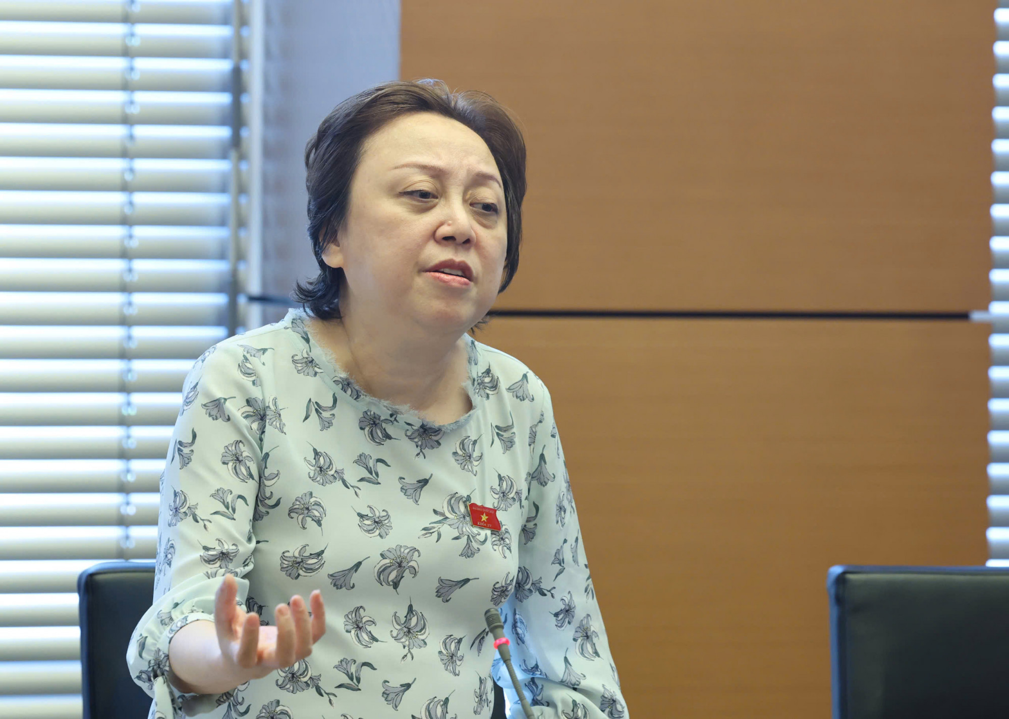 ĐBQH Phạm Khánh Phong Lan - ảnh: T.Đ